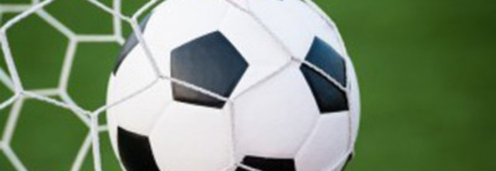 Torpo Knøttecup